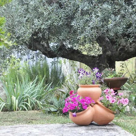 Homestay O Cantar Dos Passarinhos