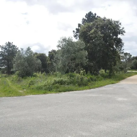 O Cantar Dos Passarinhos Φάτιμα