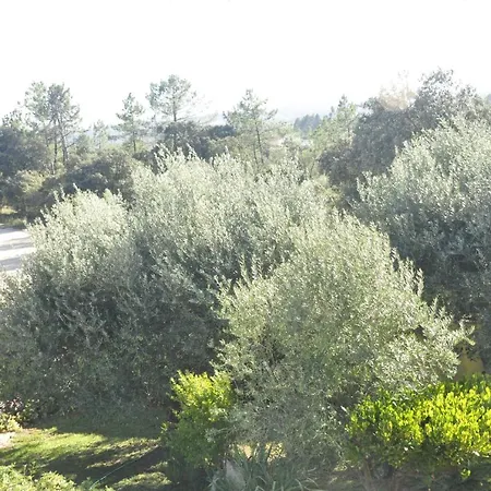 Δωμάτια σε οικογενειακή κατοικία O Cantar Dos Passarinhos