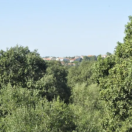 Δωμάτια σε οικογενειακή κατοικία O Cantar Dos Passarinhos