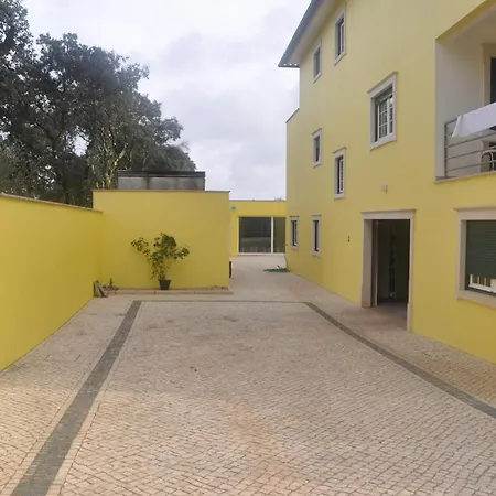 O Cantar Dos Passarinhos *