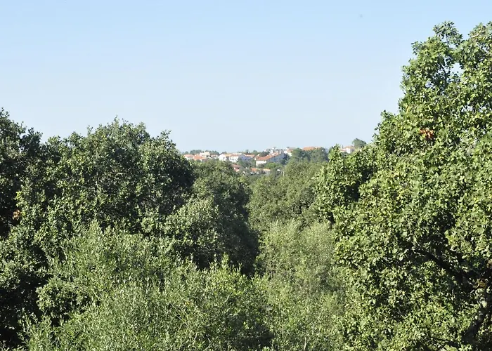 ホームステイ O Cantar Dos Passarinhos